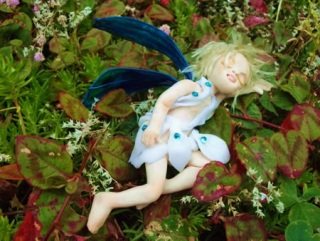 |}[NCNo,003 a sleeping fairy
